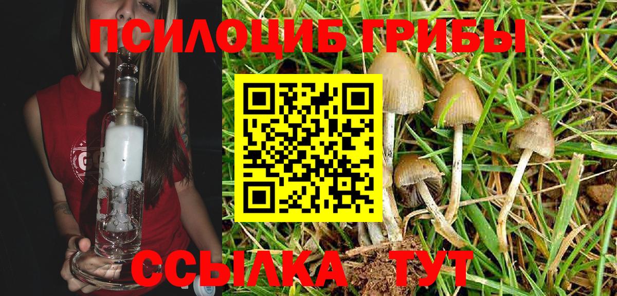 Галлюциногенные грибы Psilocybine cubensis Воткинск